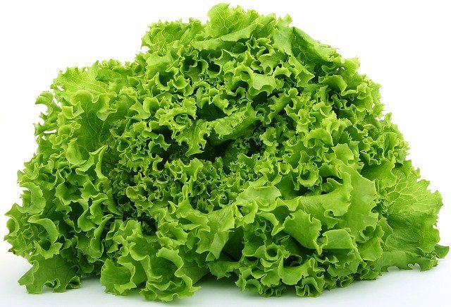 lettuce-1239155_640.jpg